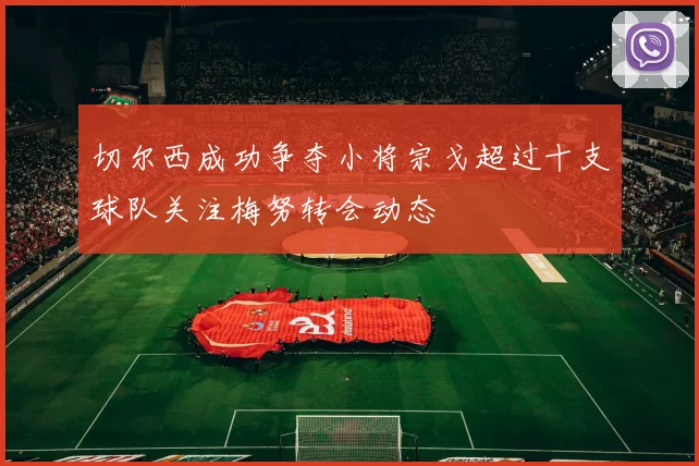 切尔西成功争夺小将宗戈超过十支球队关注梅努转会动态