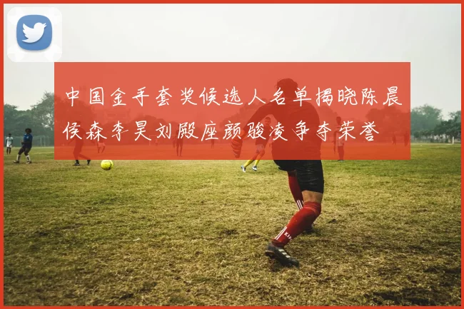 中国金手套奖候选人名单揭晓陈晨侯森李昊刘殿座颜骏凌争夺荣誉
