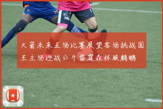 火箭未来五场比赛展望客场挑战国王主场迎战公牛雷霆森林狼鹈鹕